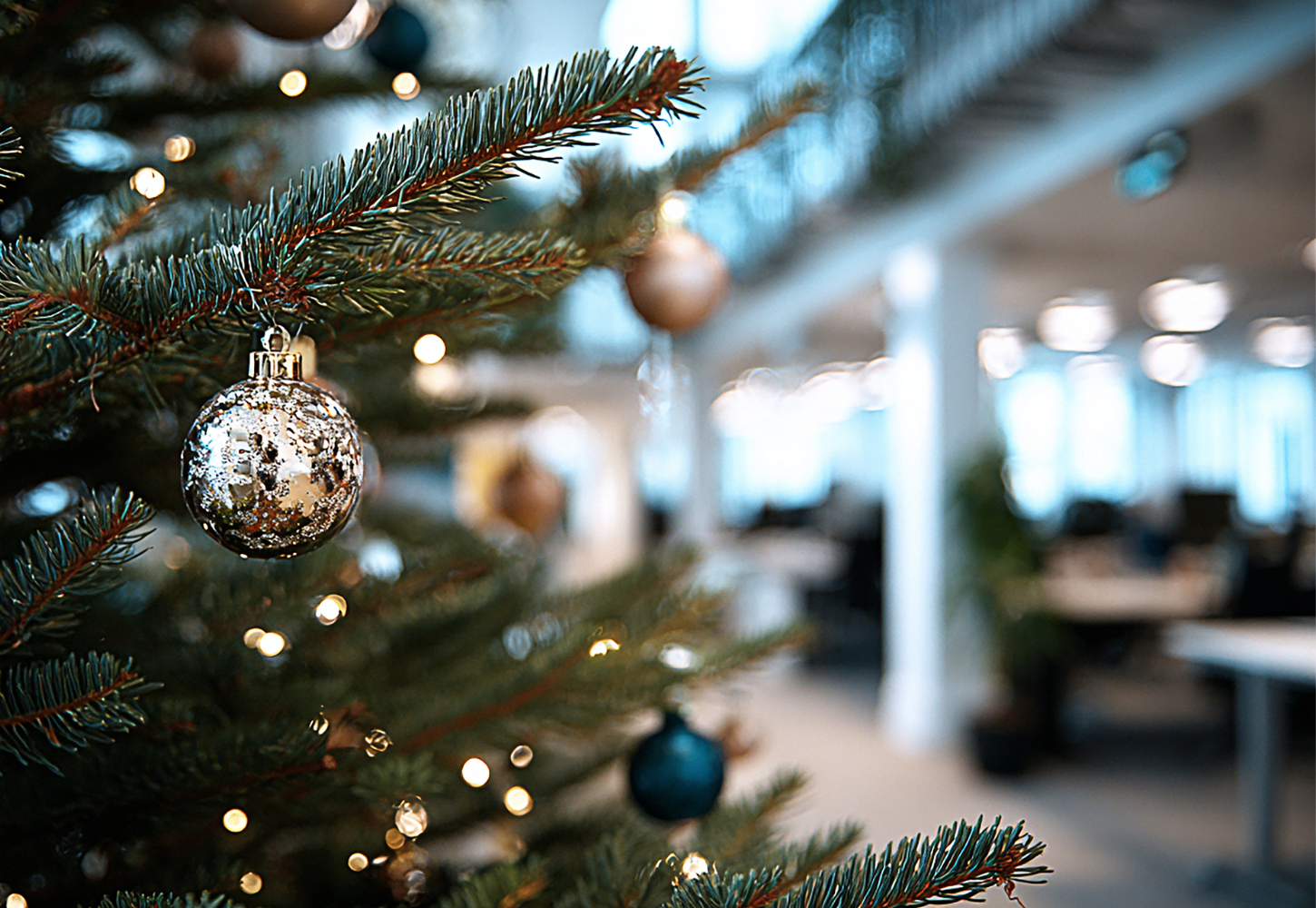 Conjointly 2025 in review