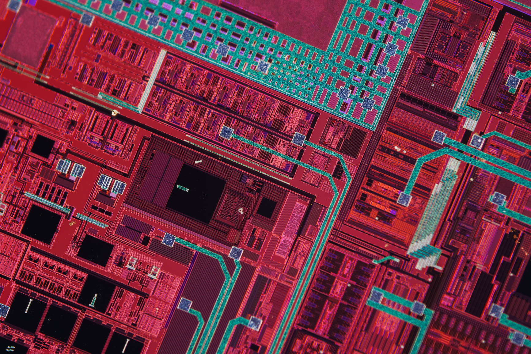 Americans are using AI, but they still don’t trust it