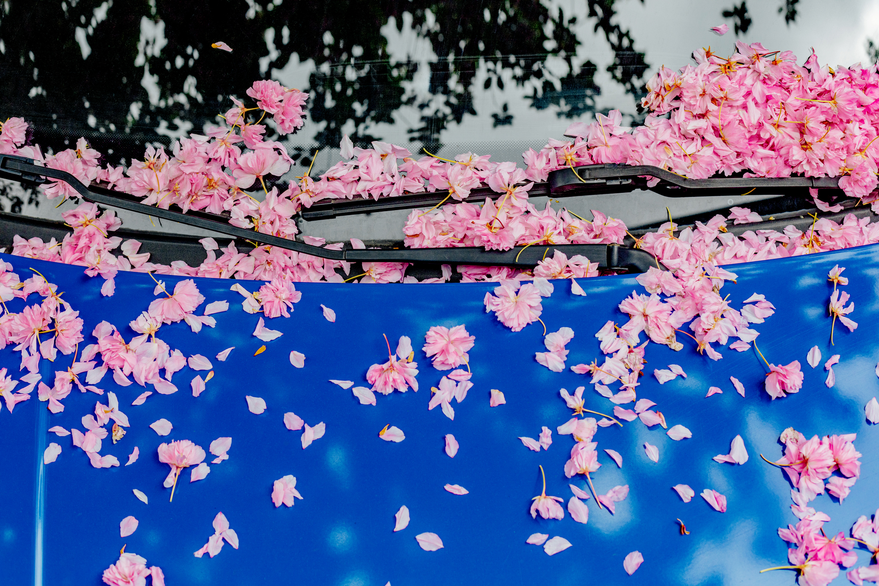 Windscreen wipers are essential for driving in the rain, just like quality checks are essential for research with online consumer panels.
