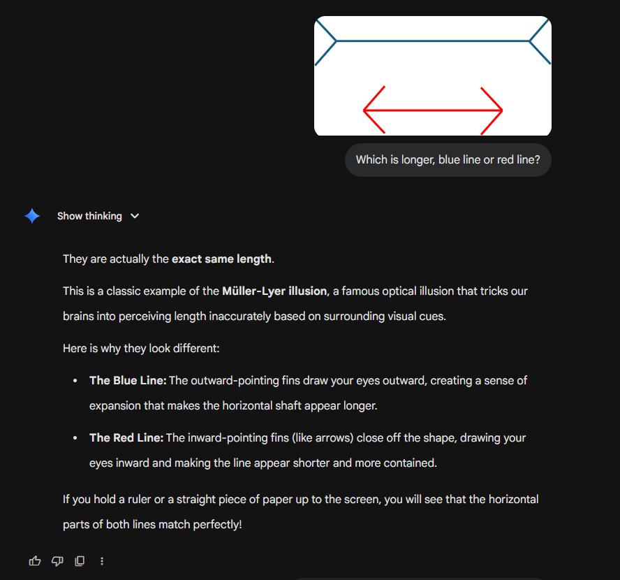 Chat screen showing a modified Müller-Lyer task with the blue line clearly longer than the red line