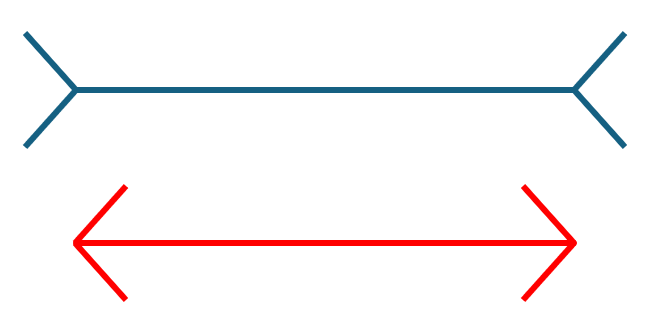 Conversational survey screen