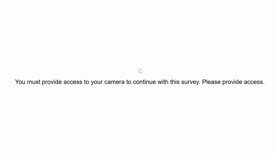 What the respondent sees during camera verification What the respondent sees during camera verification