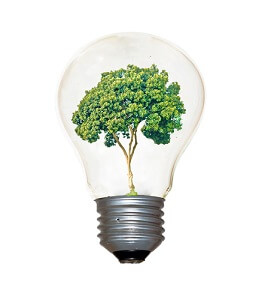 Offsetting carbon emissions in market research