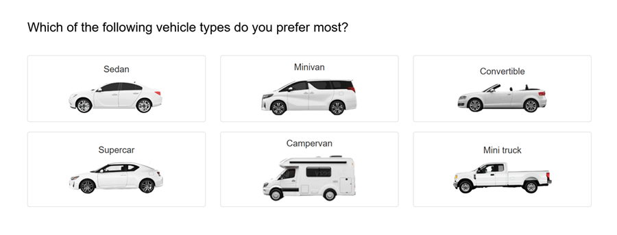 Respondent view of multiple choice question