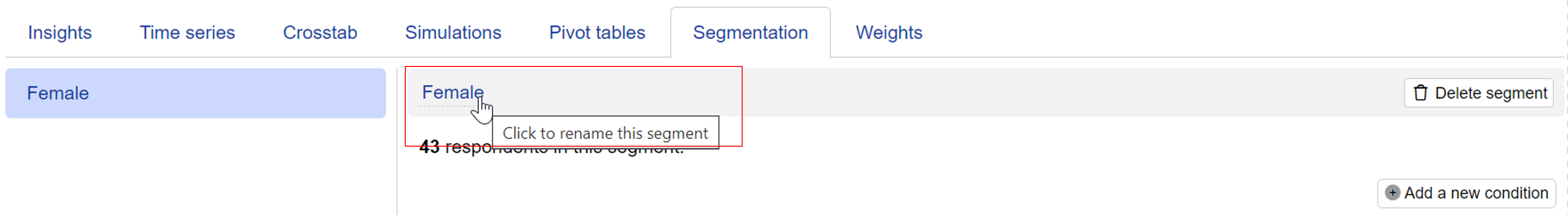 Naming a segment on Conjointly's platform Naming a segment on Conjointly's platform