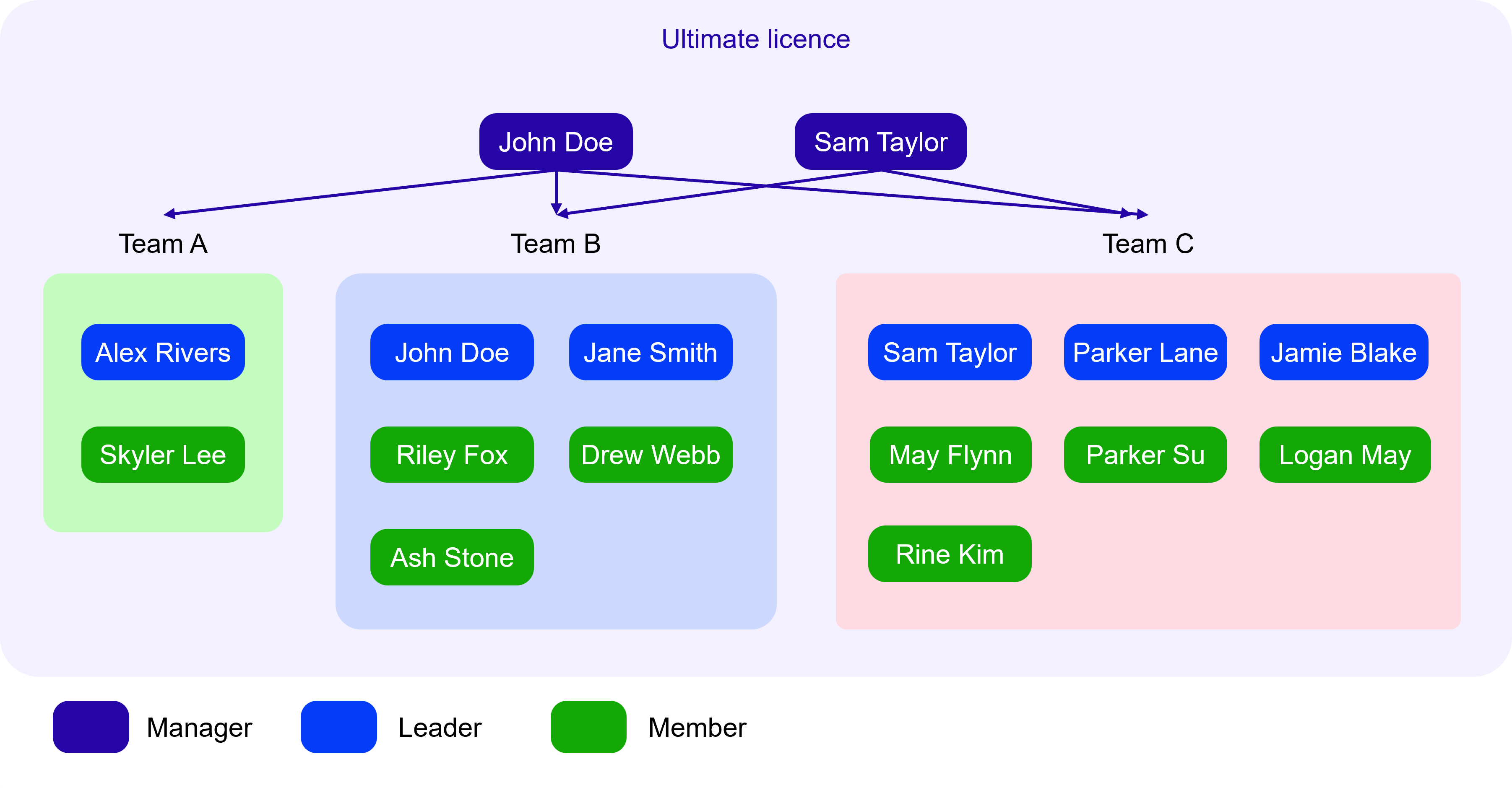 The Team Manager